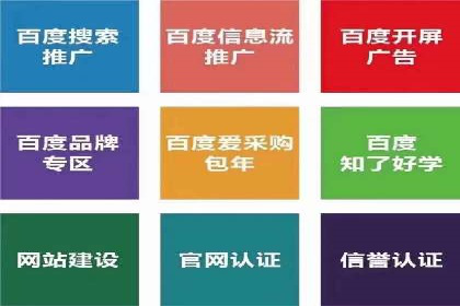 SEM服务公司成功案例解读